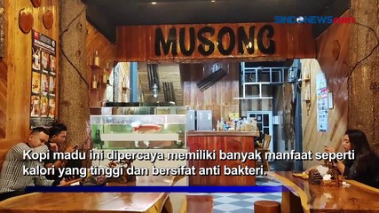 Menikmati Kopi Madu Musong Khas Pangkal Pinang