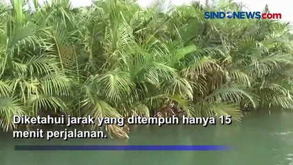 Menelusuri Wisata Mangrove Habitat Burung Kuntul Kota Padang