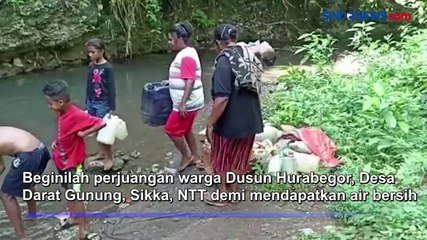 Perjuangan Warga Sikka Dapatkan Air Bersih, Pikul Jerigen Sejauh 3 Km