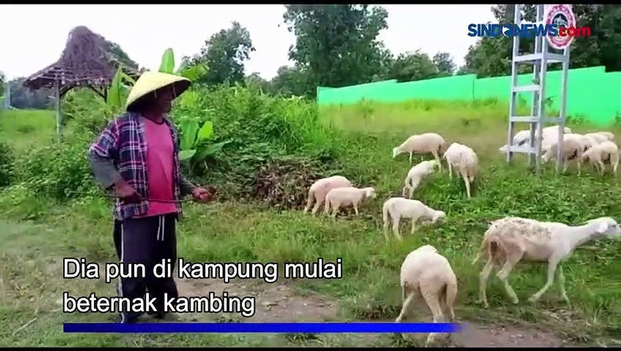 Tukang Ojek Sepeda di Kota Tua Jakarta, Sukses Alih Profesi jadi Peternak Kambing di Pemalang