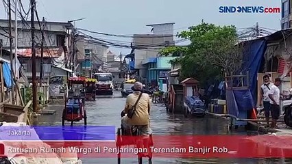 Ratusan Rumah Warga di Penjaringan Terendam Banjir Rob