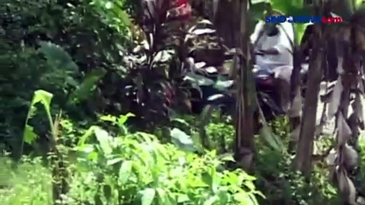 Profesi Unik, Pria di Banyumas Keliling Kampung Obati Ikan Sakit