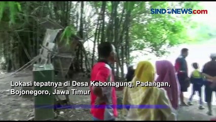 Warga Geger, Penampakan Buaya di Sungai Bengawan Solo
