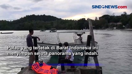Serunya Menengok Atraksi Lumba-Lumba di Pulau Sabang