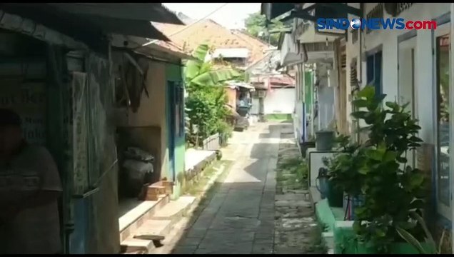 Bikin Resah Warga, Petugas BPBD Lakukan Penyisiran Monyet Liar di Pasuruan