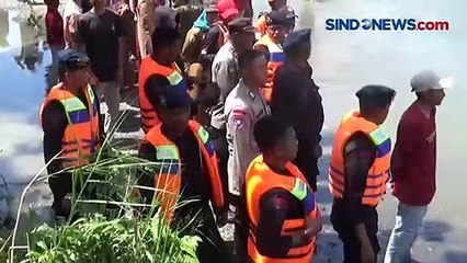 Pamit Mandi di Sungai, Gadis 19 Tahun Tewas Diterkam Buaya di Mamuju