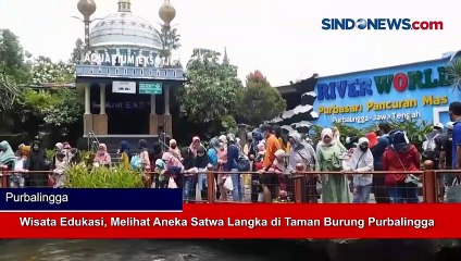 Wisata Edukasi, Melihat Aneka Satwa Langka di Taman Burung Purbalingga