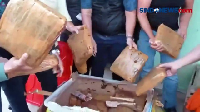 Gunakan Jasa Ekspedisi, Polisi Gagalkan Penyelundupan 73 Kg Ganja Kering di Riau