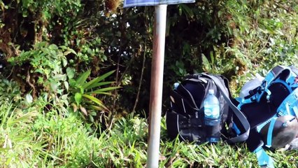 They found a camera in the jungle... ｜ The Kris Kremers & Lisanne Froon story #strange #dark #mystery