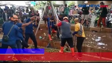 Terperosok Drainase, Tim Damkar Evakuasi Kuda Tunggang Sewaan di Depok