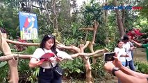 Menyaksikan Panorama Indah sambil Berinteraksi dengan Satwa di Taman Wisata Lembah Hijau Bandar Lampung