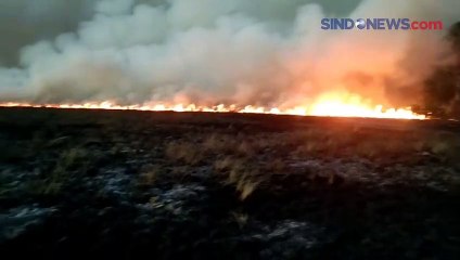 Diduga Ulah Pemburu Liar, Kawasan Hutan Taman Nasional Way Kambas Terbakar