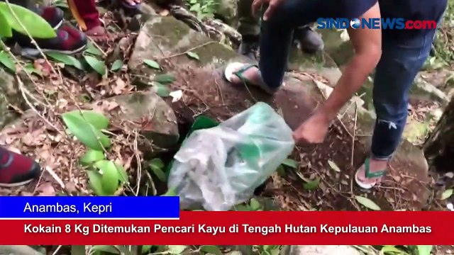 Kokain 8 Kg Ditemukan Pencari Kayu di Tengah Hutan Kepulauan Anambas