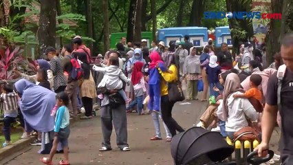 Taman Margasatwa Ragunan Tetap jadi Promadona saat Liburan, Ini Alasan Pengunjung
