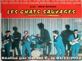 Les Chats Sauvages & Dick Rivers_Oh oui (L. Walter_My babe)(1962)karaoké