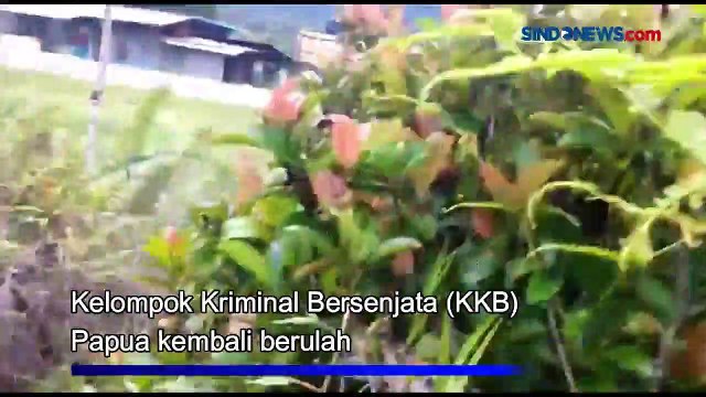 KKB Papua Serang Truk TNI Polri dan Bunuh Tukang Ojek