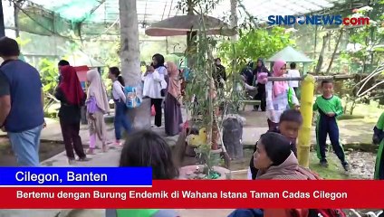 Bertemu dengan Burung Endemik di Wahana Istana Taman Cadas Cilegon