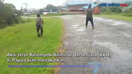 Tegas! Polda Papua Bentuk Tim Kejar KKB di Pegunungan