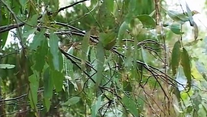 Astuce pour démarrer un feu à l'aide d'une batterie de voiture