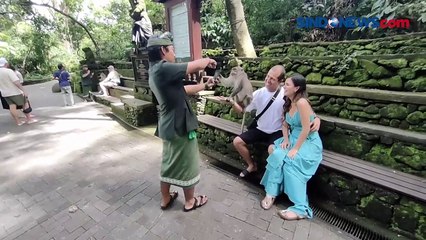Melancong ke Ubud sambil Swafoto dengan Monyet