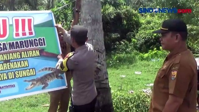 Penampakan Buaya di Sungai Batang Manggoi Pariaman Gegerkan Warga