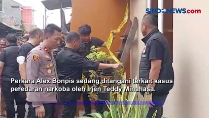 Sempat DPO, Polisi Tangkap Bandar Narkoba Alex Bonpis Rekanan Teddy Minahasa