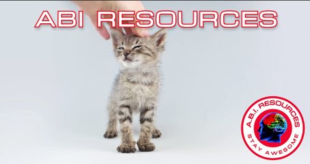Kitten Cuddles The Adorable Secret to a Happier Healthier Life ABI RESOURCES