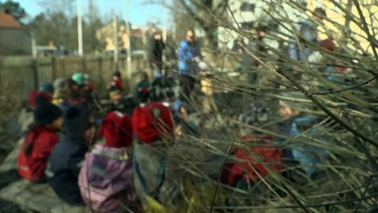 Países escandinavos impulsan enseñanza preescolar al aire libre