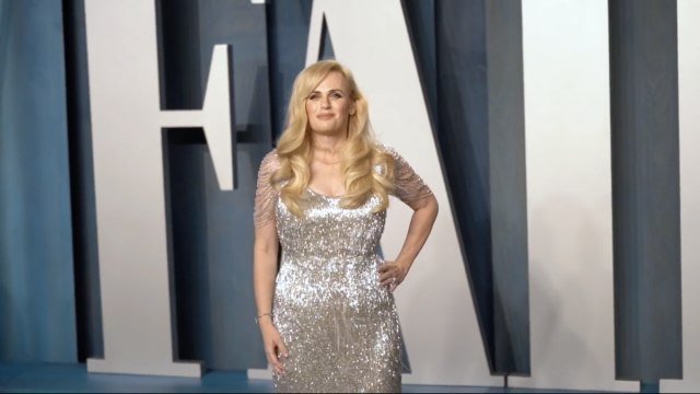 Rebel Wilson Banned From Disneyland for Allegedly Snapping a Photo in the Park's Most Exclusive Dining Venue