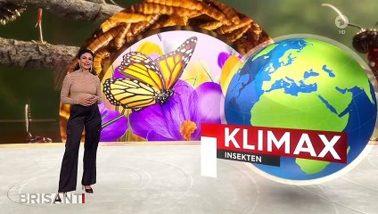 Marwa Eldessouky Brisant (08/03/2023)