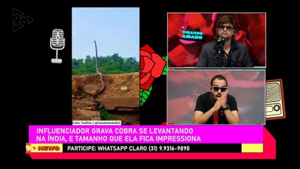 Ricardo Amado 08/03/23