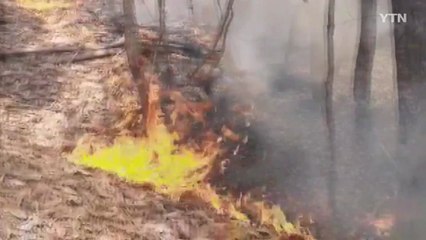 대구 지산동 야산에서 불..."쓰레기 태우다가" / YTN