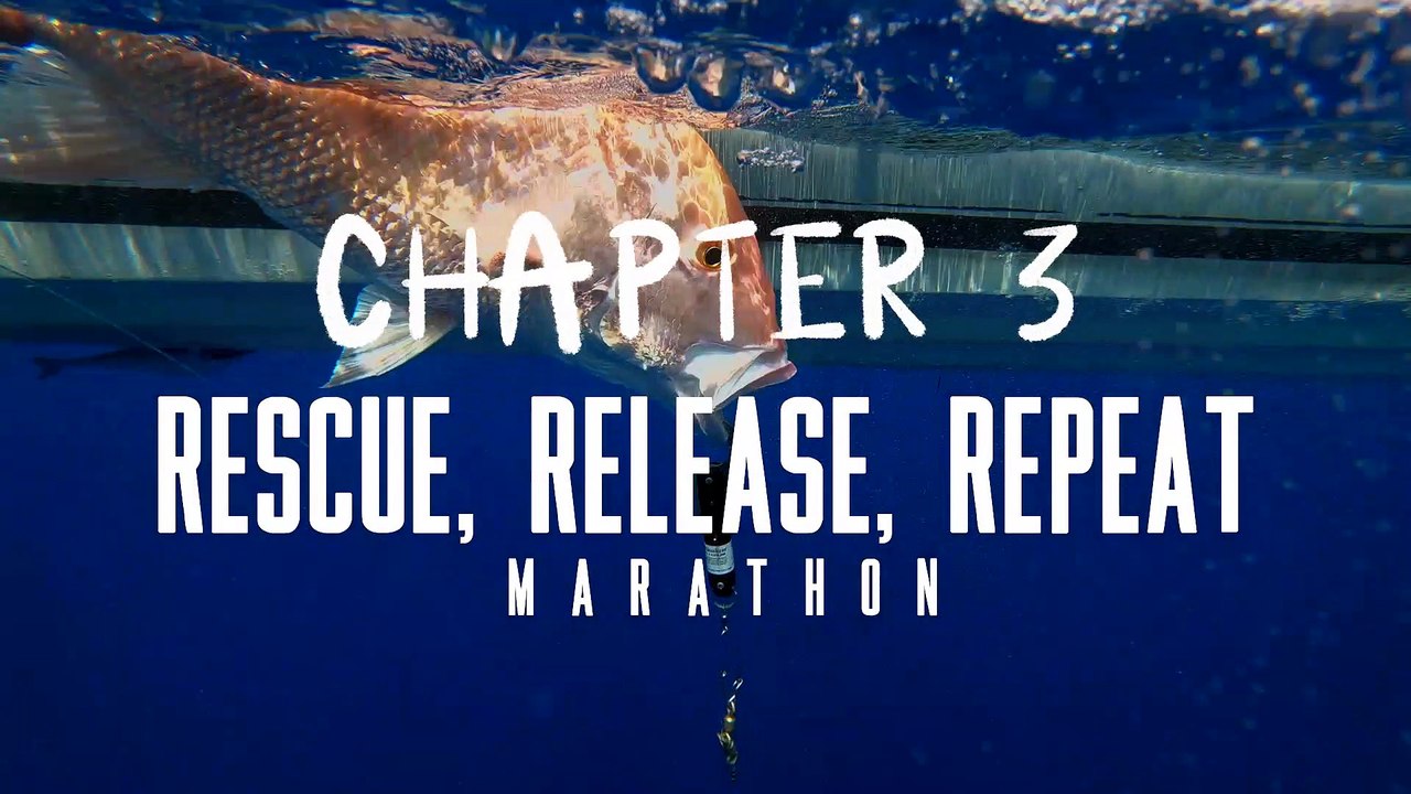 Protect the Blue, Chapter 3 - Rescue, Release, Repeat: Marathon