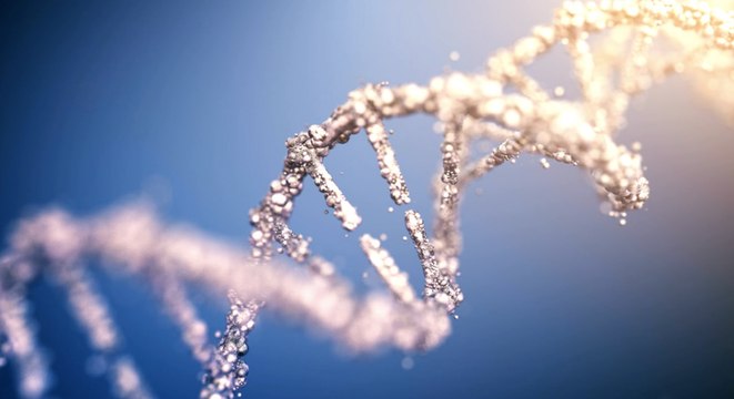 What Is VEXAS Syndrome? Newly Discovered Disease May Be More Common Than Once Thought