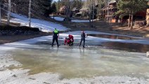 Bombeiros salvam alce que caiu e ficou preso em lago congelado