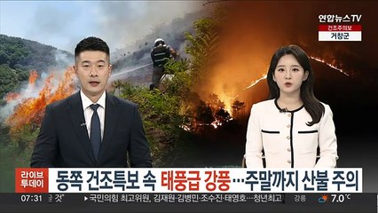 동쪽 건조특보 속 태풍급 강풍…주말까지 산불 주의