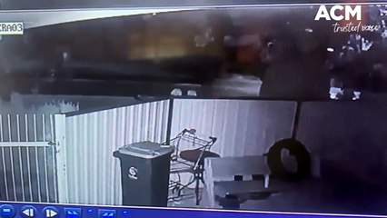 Would-be thieves target car