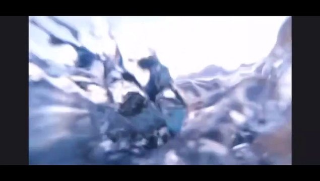 Homem detido por 'assediar' baleias e golfinhos no Havai