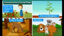 class-5-science-characteristics-of-living-things