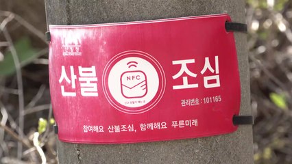 [날씨] 합천 산불, 강풍 약해져...주 후반 기온 더 오른다 / YTN