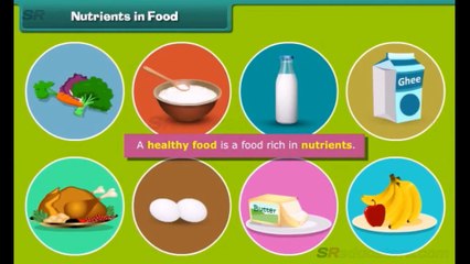 Class 5 Science: Essential Food & Health Tips for Young Learners 🍎