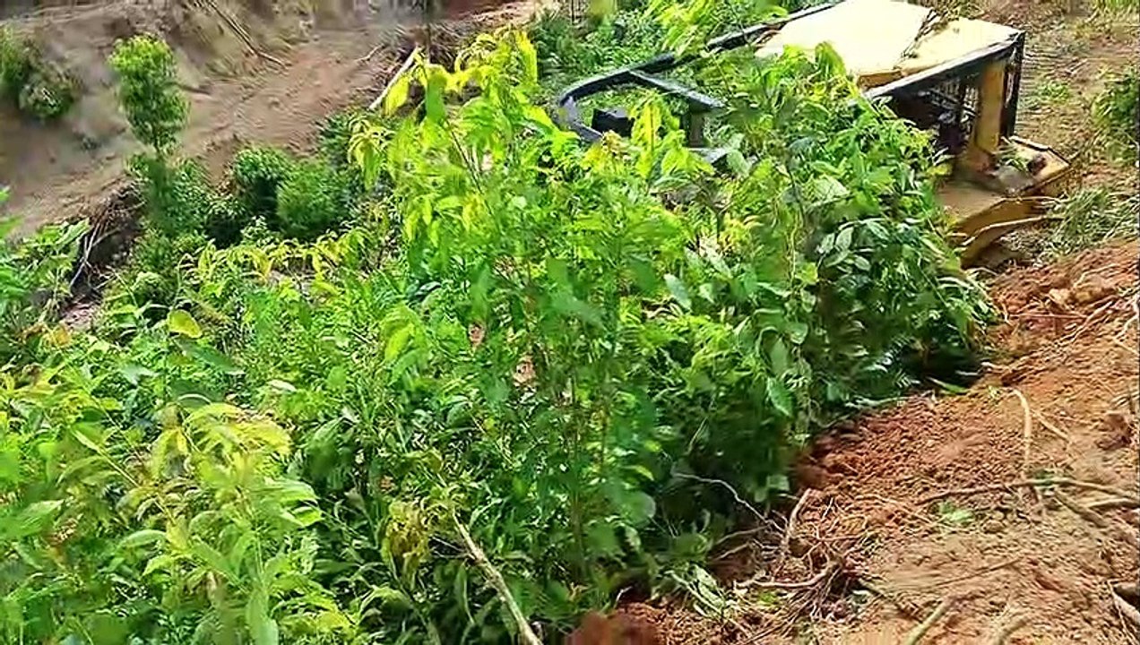 The Bulldozer Works In Very Difficult Places || Bulldoser D6R XL CAT