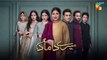 Mere Damad - Episode 34 [ Washma Fatima - Humayun Ashraf ] 23rd February 2023 - HUM TV