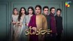 Mere Damad - Episode 35 [ Washma Fatima - Humayun Ashraf ] 24th February 2023 - HUM TV