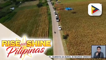 Alamin ang iba't ibang programa at interventions ng Department of Agriculture Region 8