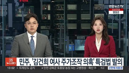 민주, '김건희 여사 주가조작 의혹' 특검법 발의
