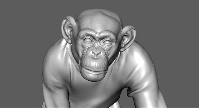 Nope VFX Breakdown by MPC