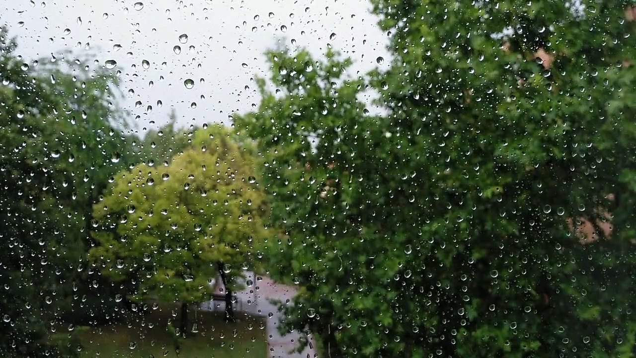 Relaxing Rain and Thunder Sounds, Fall Asleep Faster, Beat Insomnia, Sleep Music, Relaxation Sounds