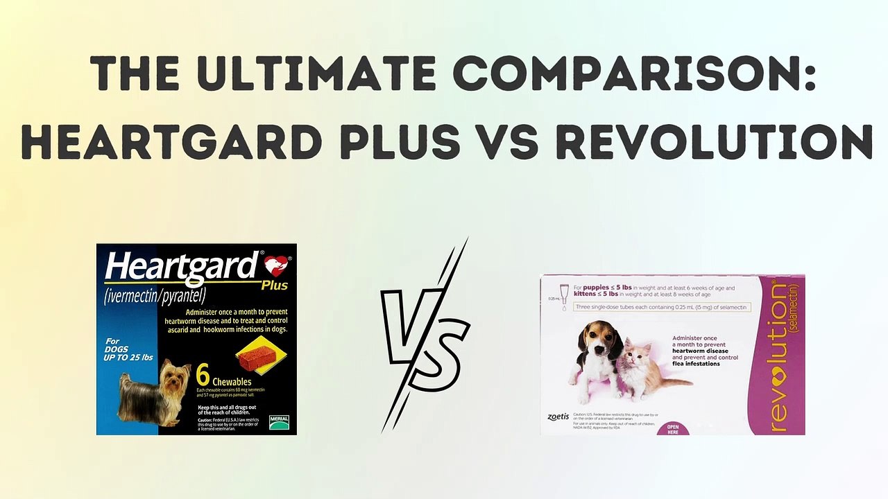 The Ultimate Comparison Heartgard Plus vs Revolution which is best for