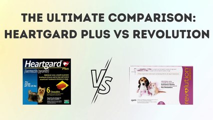 The Ultimate Comparison: Heartgard Plus vs Revolution which is best for your pet?